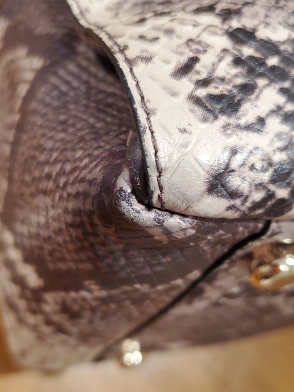 Coach Python Embossed Morgan Satchel - Picture 6 of 16
